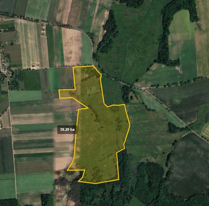 Działka rolna Rotnowo. Zdjęcie 3