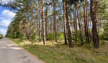 Działka leśna Dąbrówka Wielkopolska