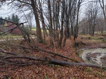 Działka leśna Lipnica Górna. Zdjęcie 2