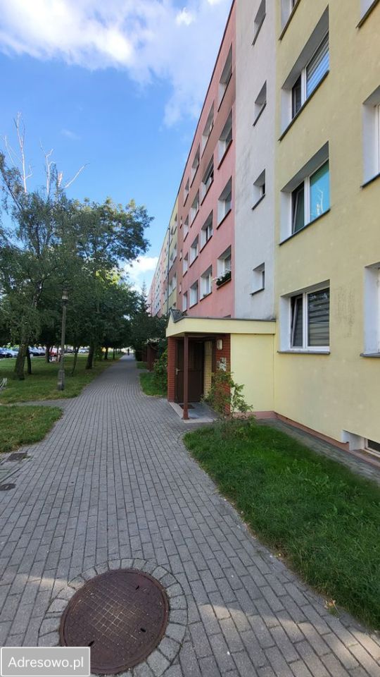 Mieszkanie 3-pokojowe Włocławek, ul. Żytnia. Zdjęcie 3