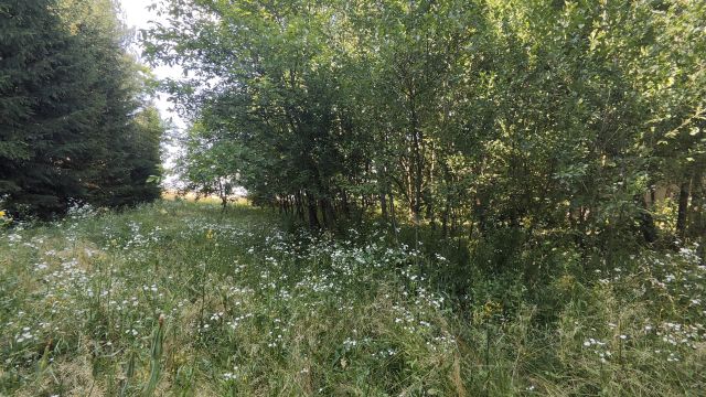 Działka rolno-budowlana Cieplice. Zdjęcie 14