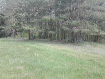 Działka Gawiniańce. Zdjęcie 4