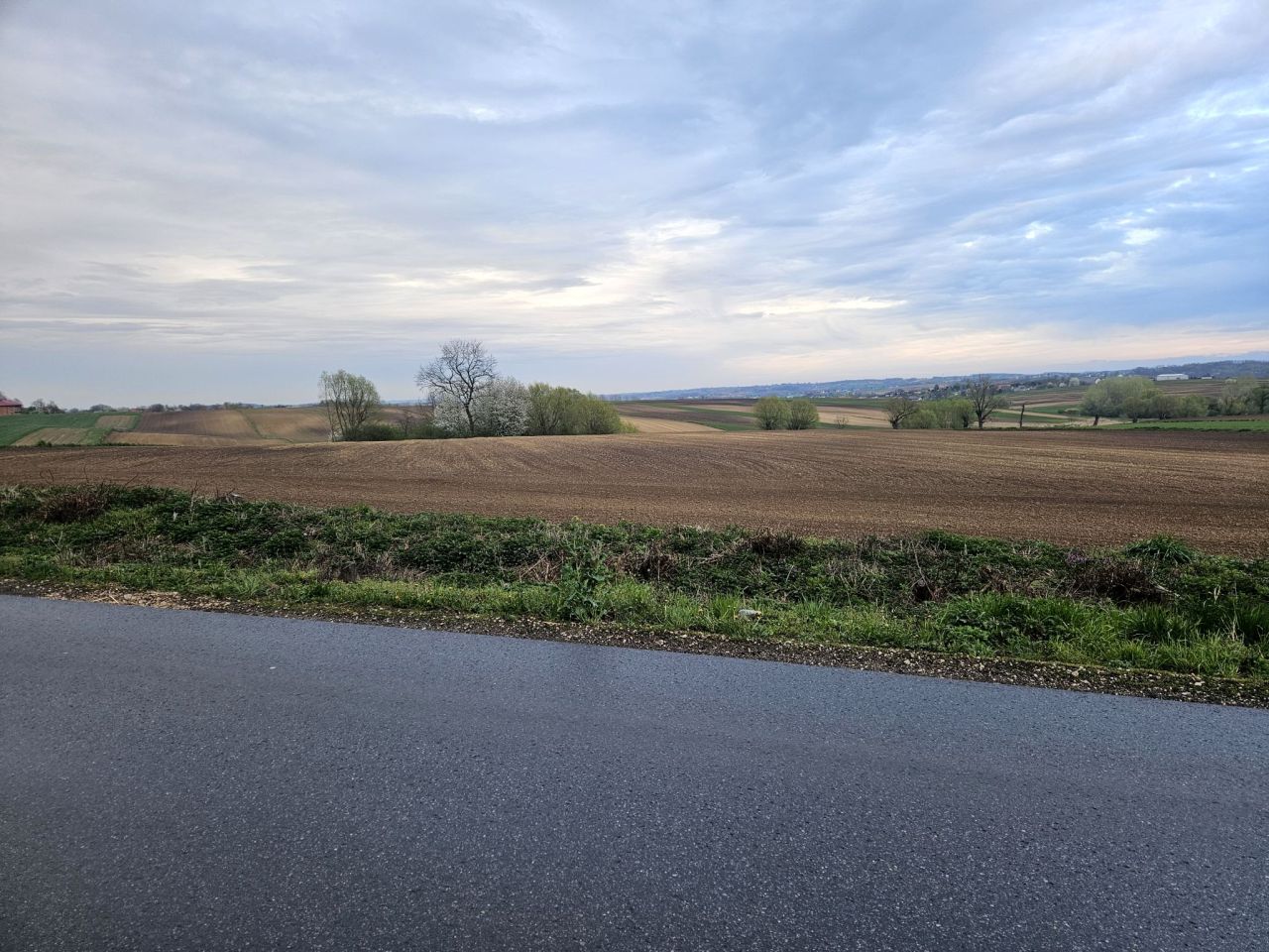 Działka rolno-budowlana Czuszów. Zdjęcie 3