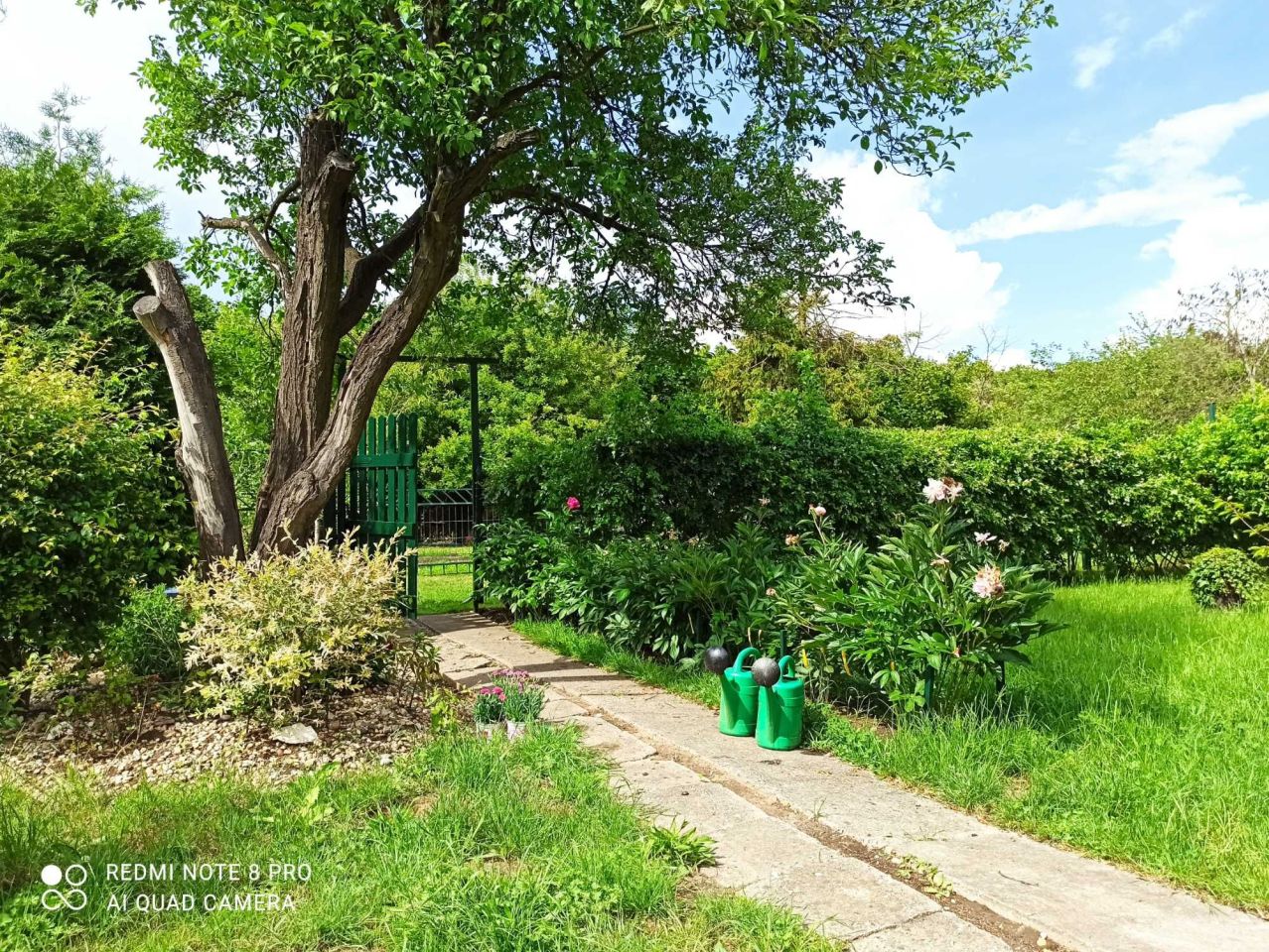 Działka rod Opole, ul. Wspólna. Zdjęcie 2