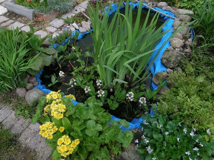 Działka rod Koszalin Jamno, ul. Aleja Europejska. Zdjęcie 2