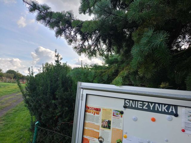 Działka rekreacyjna Grudziądz Lotnisko. Zdjęcie 1