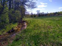 Działka siedliskowa Bożepole Wielkie. Zdjęcie 2