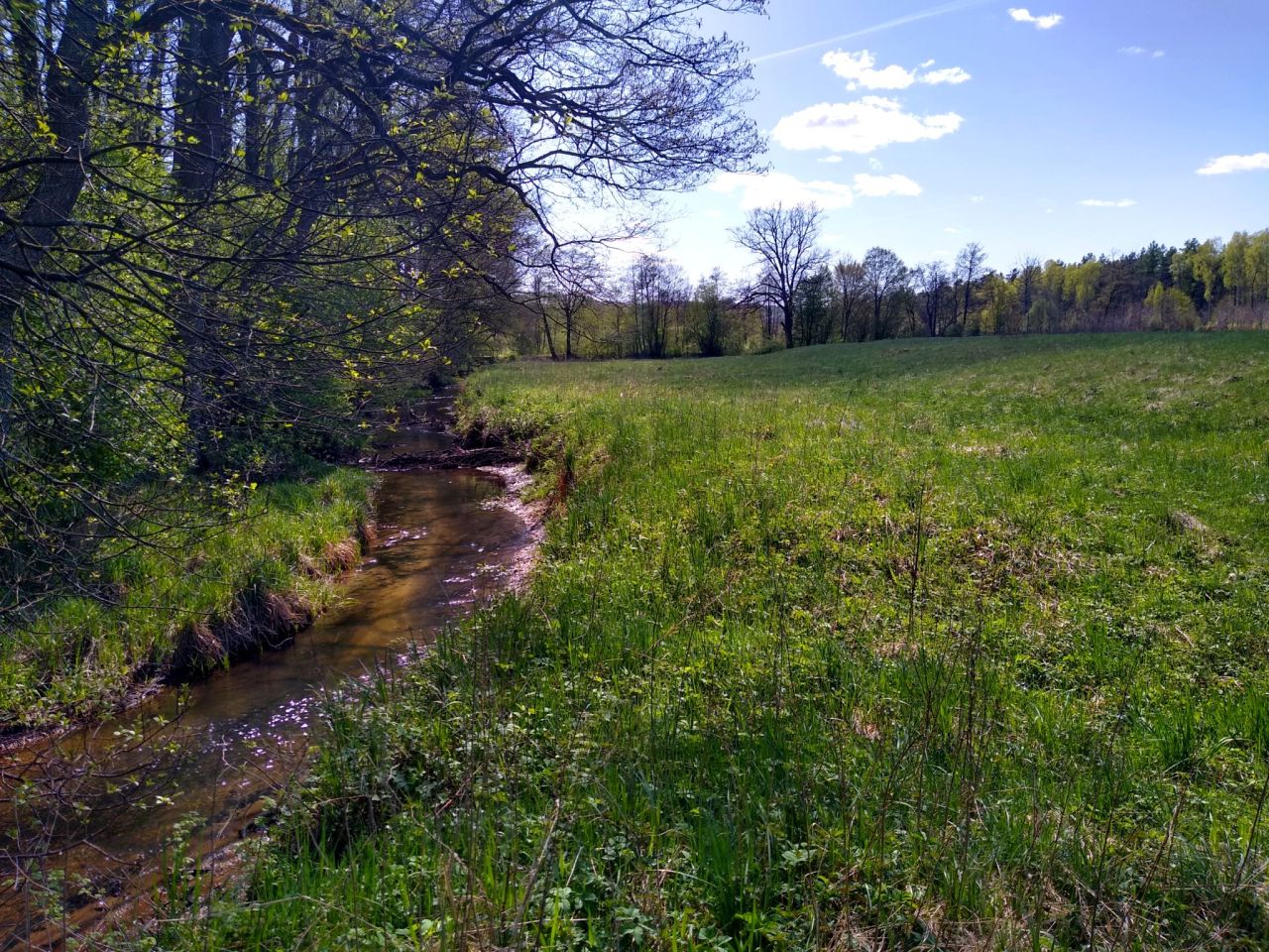 Działka siedliskowa Bożepole Wielkie. Zdjęcie 3