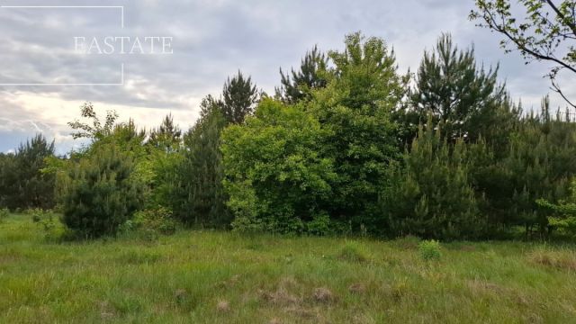 Działka inwestycyjna Myrcha. Zdjęcie 4