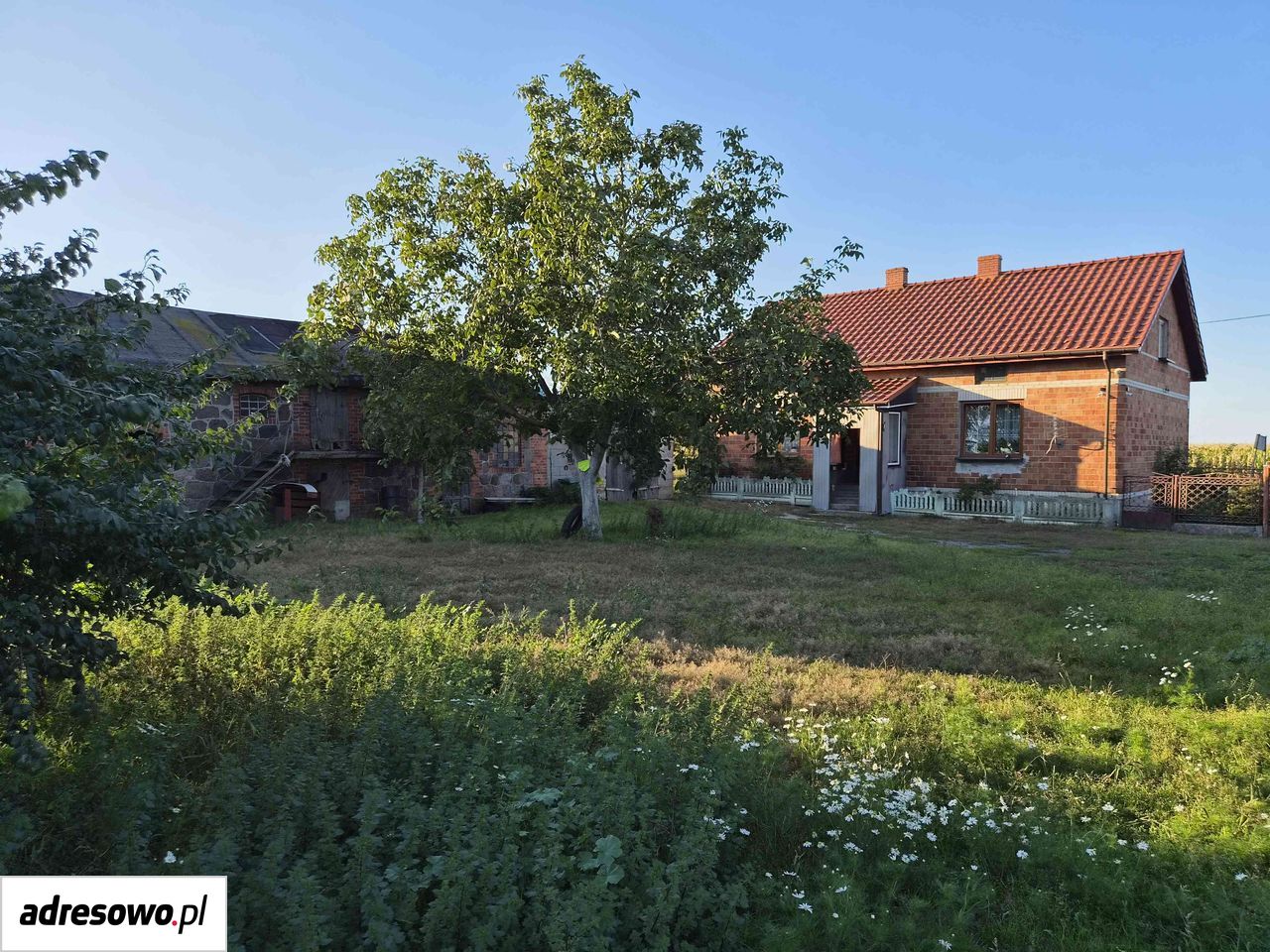 dom wolnostojący, 4 pokoje Kaźmierków. Zdjęcie 5