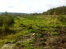 Działka rolna Białogóra. Zdjęcie 4