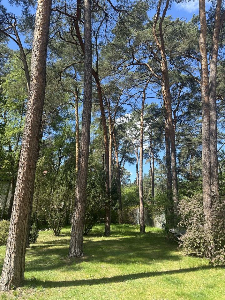 Działka inwestycyjna Konstancin-Jeziorna, ul. Potulickich. Zdjęcie 3