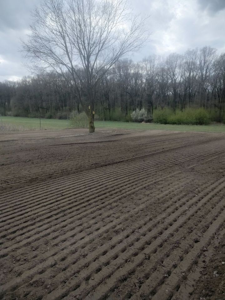 Działka rolno-budowlana Stare Koźle. Zdjęcie 3