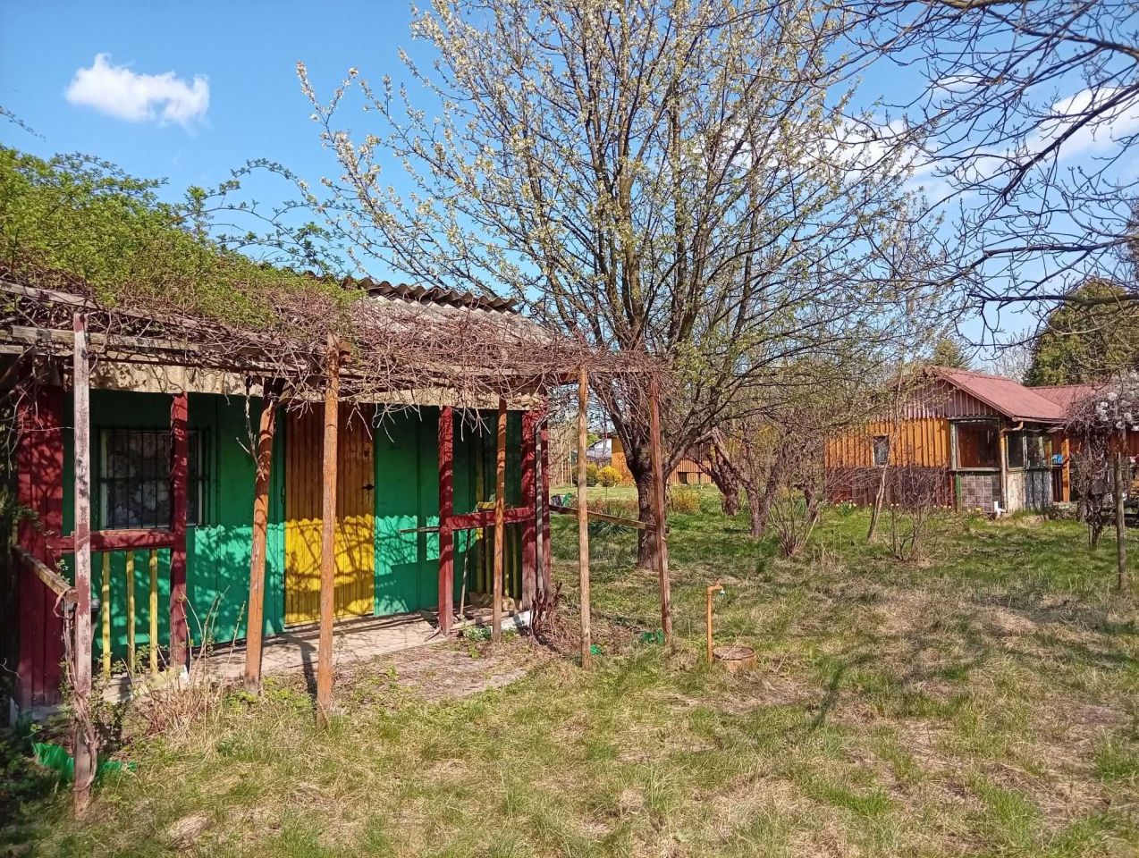 Działka rod Rzeszów. Zdjęcie 1