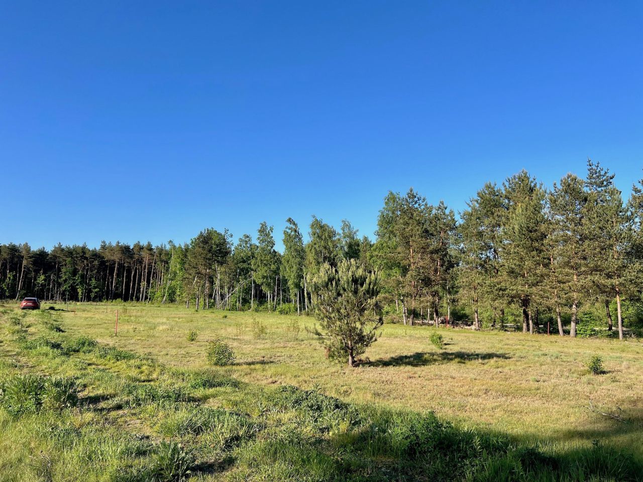 Działka budowlana Osowiec, ul. Arbuzowa. Zdjęcie 5