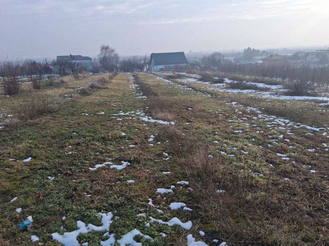 Działka rolna Andruszkowice. Zdjęcie 2