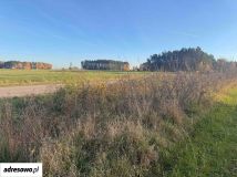 Działka budowlana Chojeczno-Cesarze. Zdjęcie 4