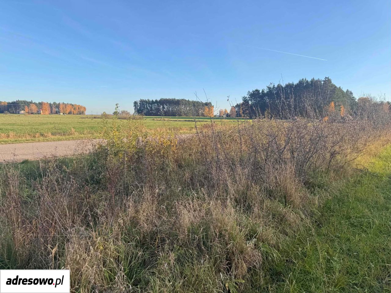 Działka budowlana Chojeczno-Cesarze. Zdjęcie 5