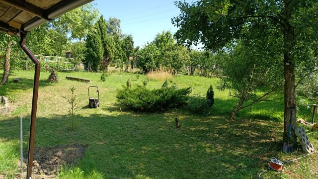 Działka rod Pruszcz Gdański, ul. Grunwaldzka. Zdjęcie 1
