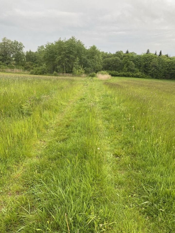 Działka budowlana Ptaszkowa. Zdjęcie 5