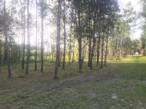 Działka budowlana Korczew. Zdjęcie 1