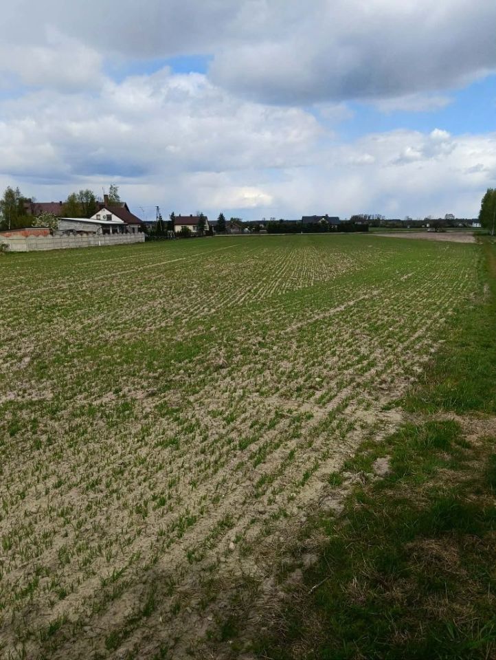 Działka inwestycyjna Wygnanów. Zdjęcie 7