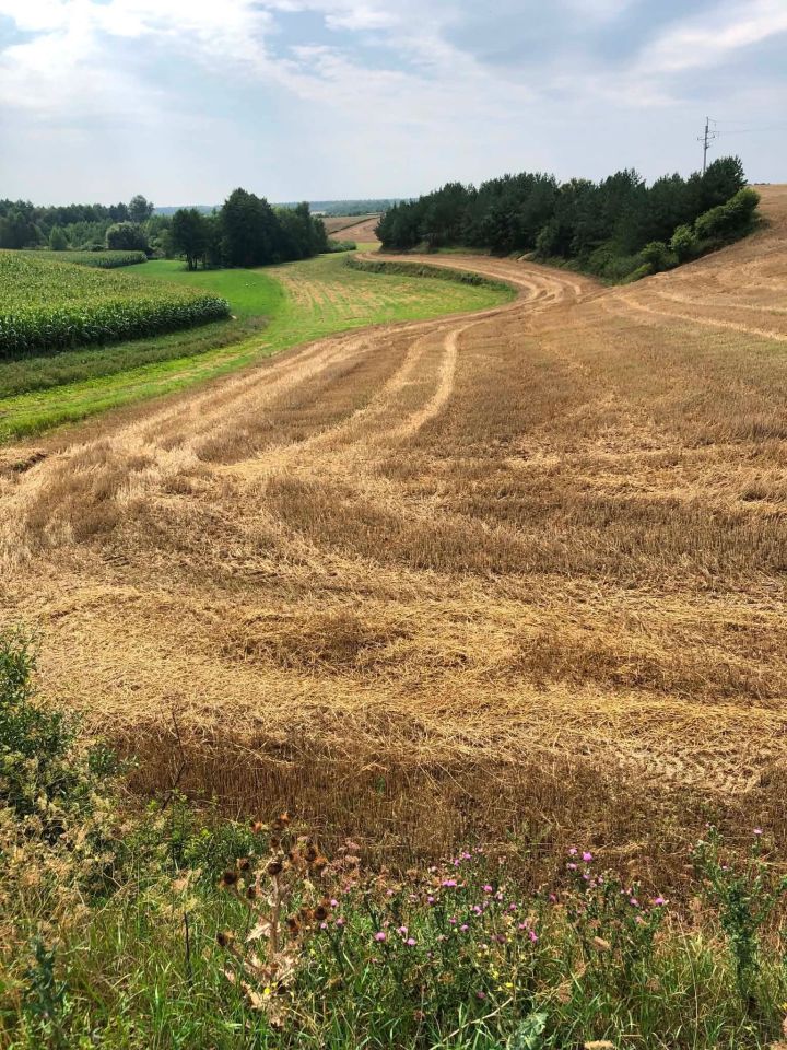 Działka rolna Topólka. Zdjęcie 4