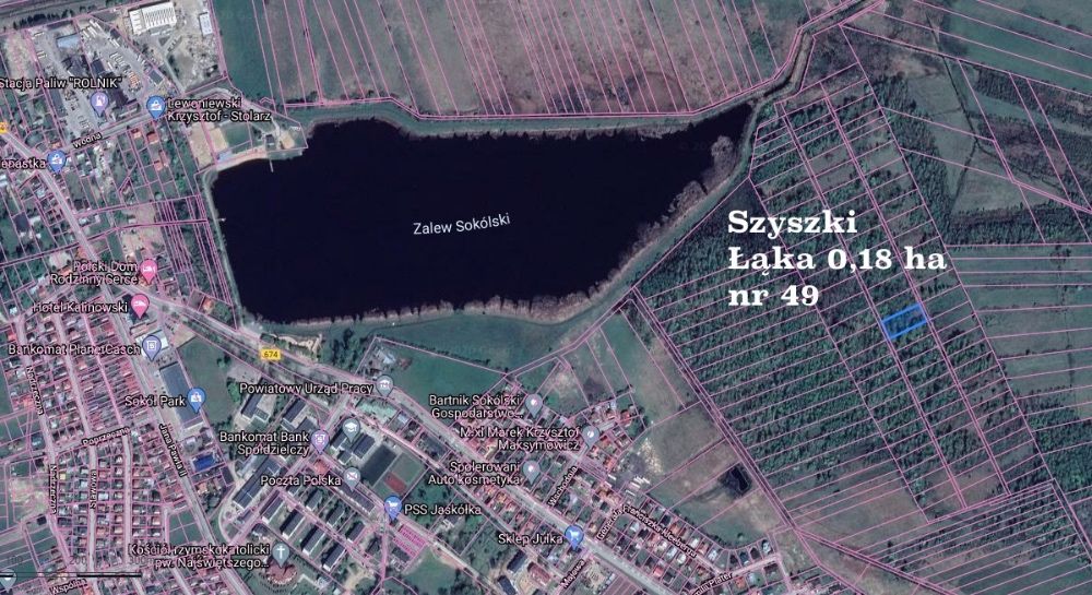 Działka rolna Pawełki. Zdjęcie 2