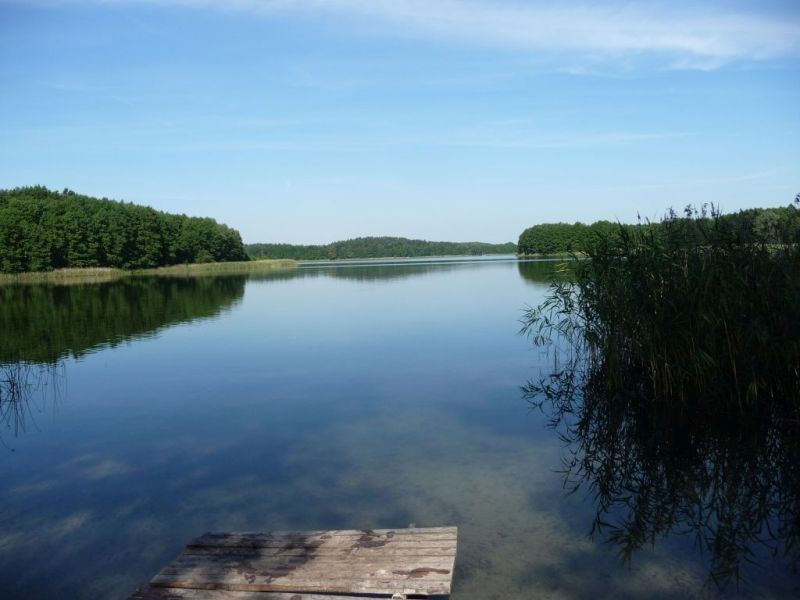 Działka budowlana Silna. Zdjęcie 6