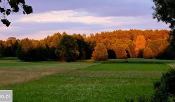 Działka rolno-budowlana Osmolice Pierwsze