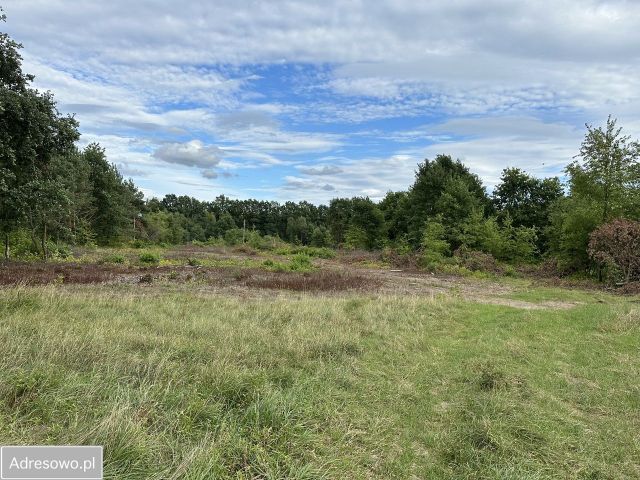 Działka budowlana Łajski, ul. Kościelna. Zdjęcie 1