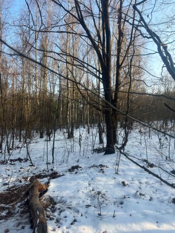 Działka rolna Jadowniki. Zdjęcie 1