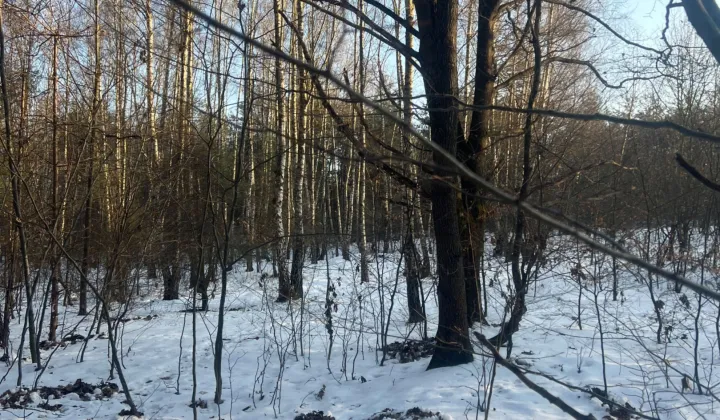 Działka rolna Jadowniki