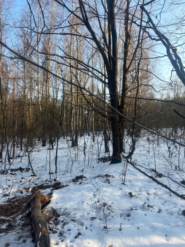 Działka rolna Jadowniki. Zdjęcie 1