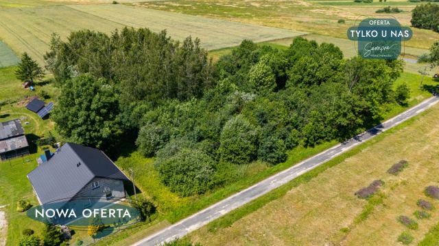 Działka rolna Luciejów. Zdjęcie 11