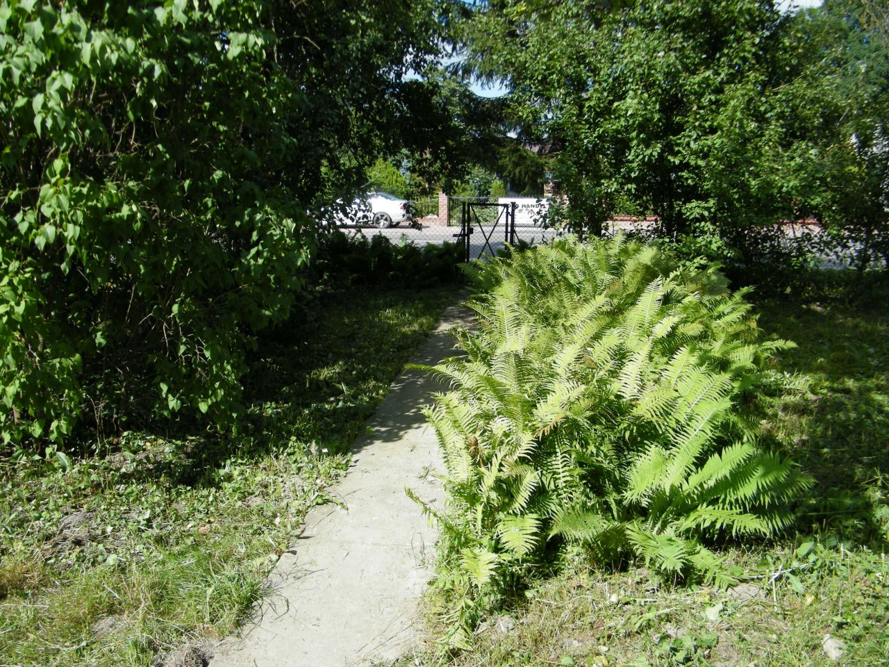 Działka budowlana Okopy. Zdjęcie 4