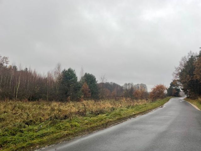 Działka rolna Marcinki. Zdjęcie 1