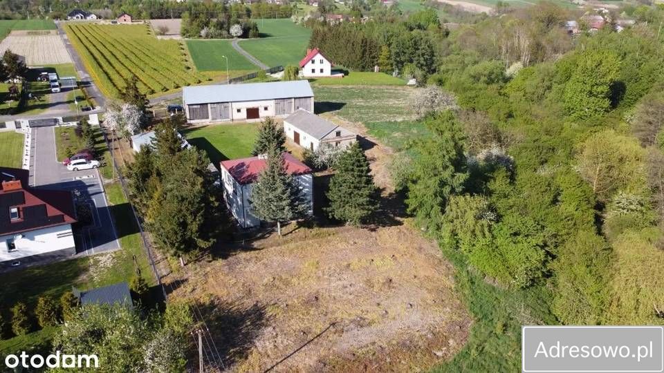 Działka budowlana Kijany. Zdjęcie 2