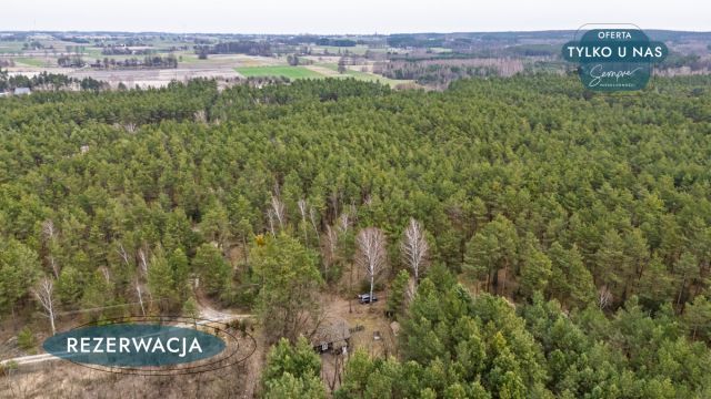 Działka leśna Kije. Zdjęcie 6