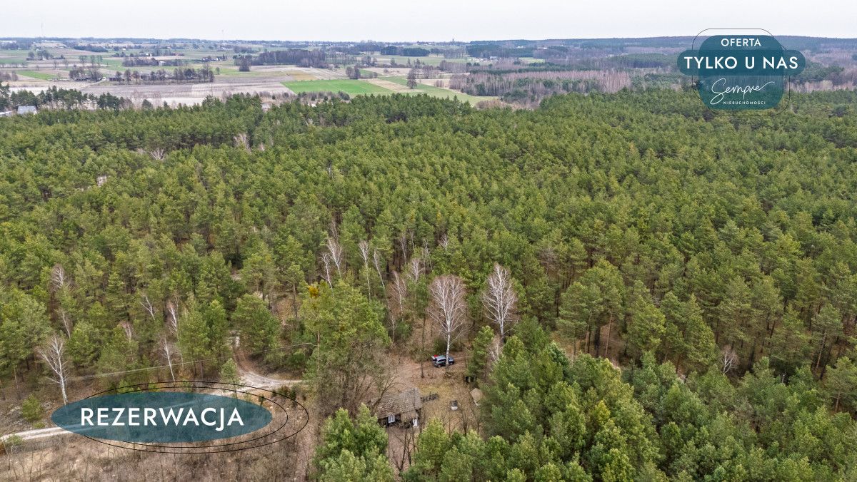 Działka leśna Kije. Zdjęcie 6