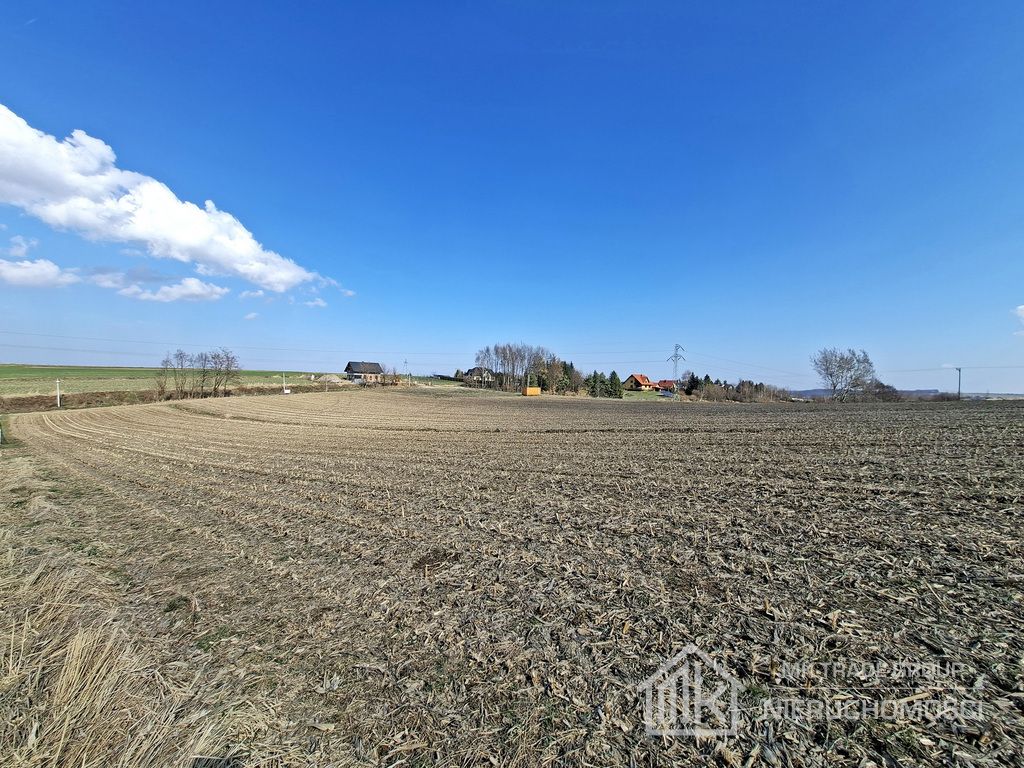 Działka Bodzanów. Zdjęcie 2