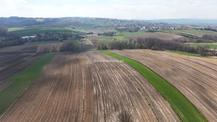 Działka rolna Moszczenica. Zdjęcie 8