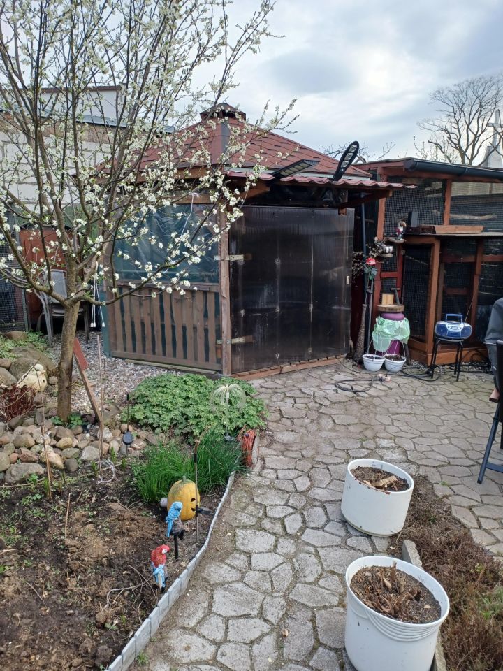 bliźniak, 2 pokoje Pęckowo, ul. Noja. Zdjęcie 12