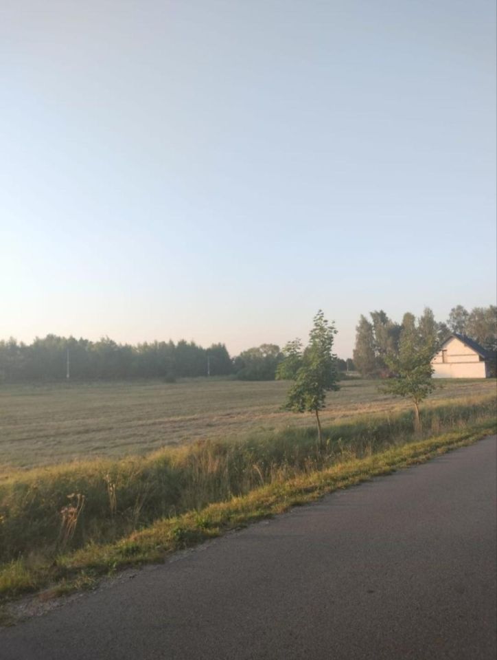Działka siedliskowa Kościernica. Zdjęcie 3