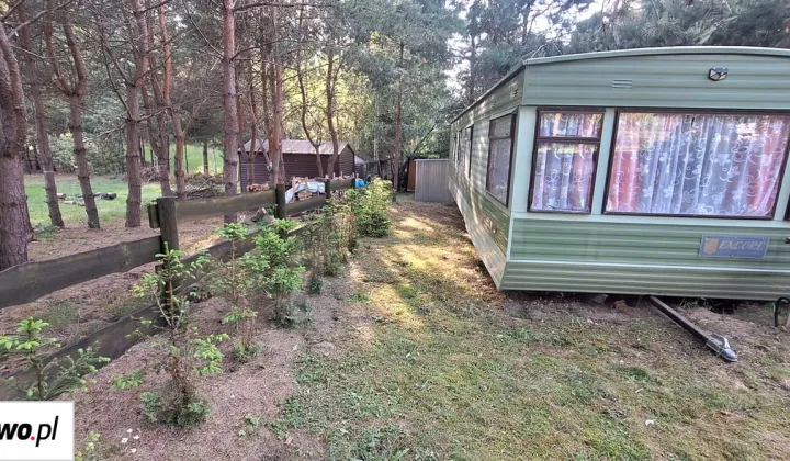 Działka rekreacyjna Rybno