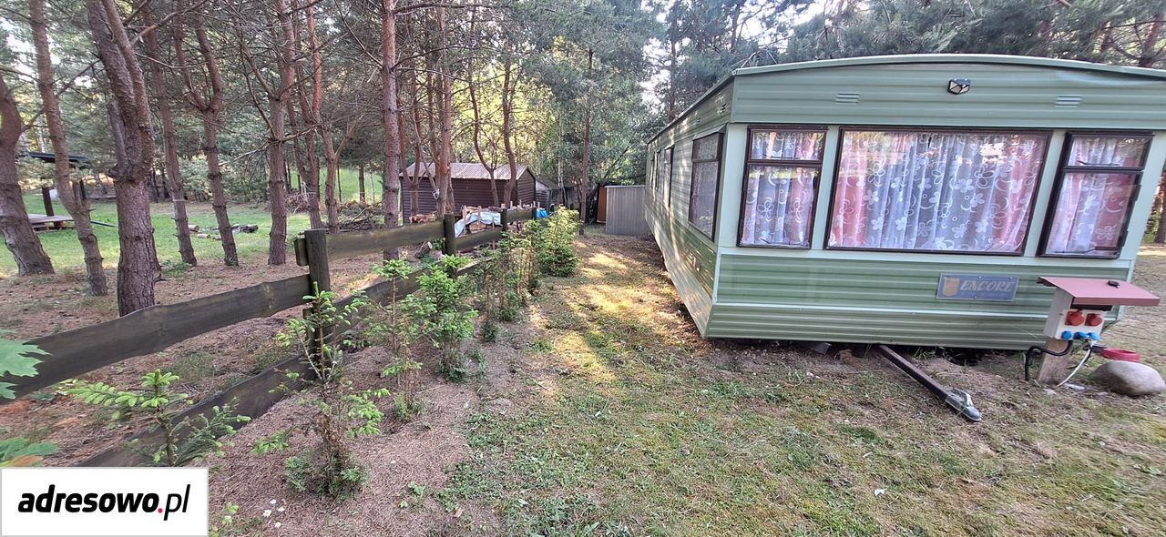 Działka rekreacyjna Rybno. Zdjęcie 1