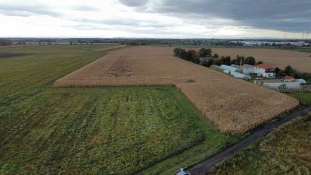 Działka inwestycyjna Ścinawa Polska. Zdjęcie 3