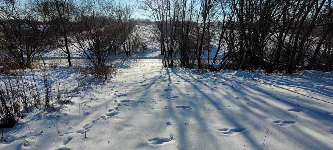 Działka budowlana Kazimierz Dolny Dąbrówka. Zdjęcie 4