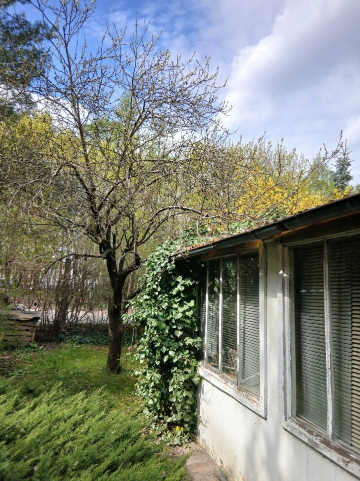 Działka rod Łódź Polesie, ul. Biegunowa. Zdjęcie 8