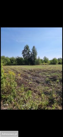 Działka budowlana Kazimierów, ul. Różana. Zdjęcie 1